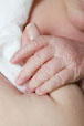 Infant Hand Photo